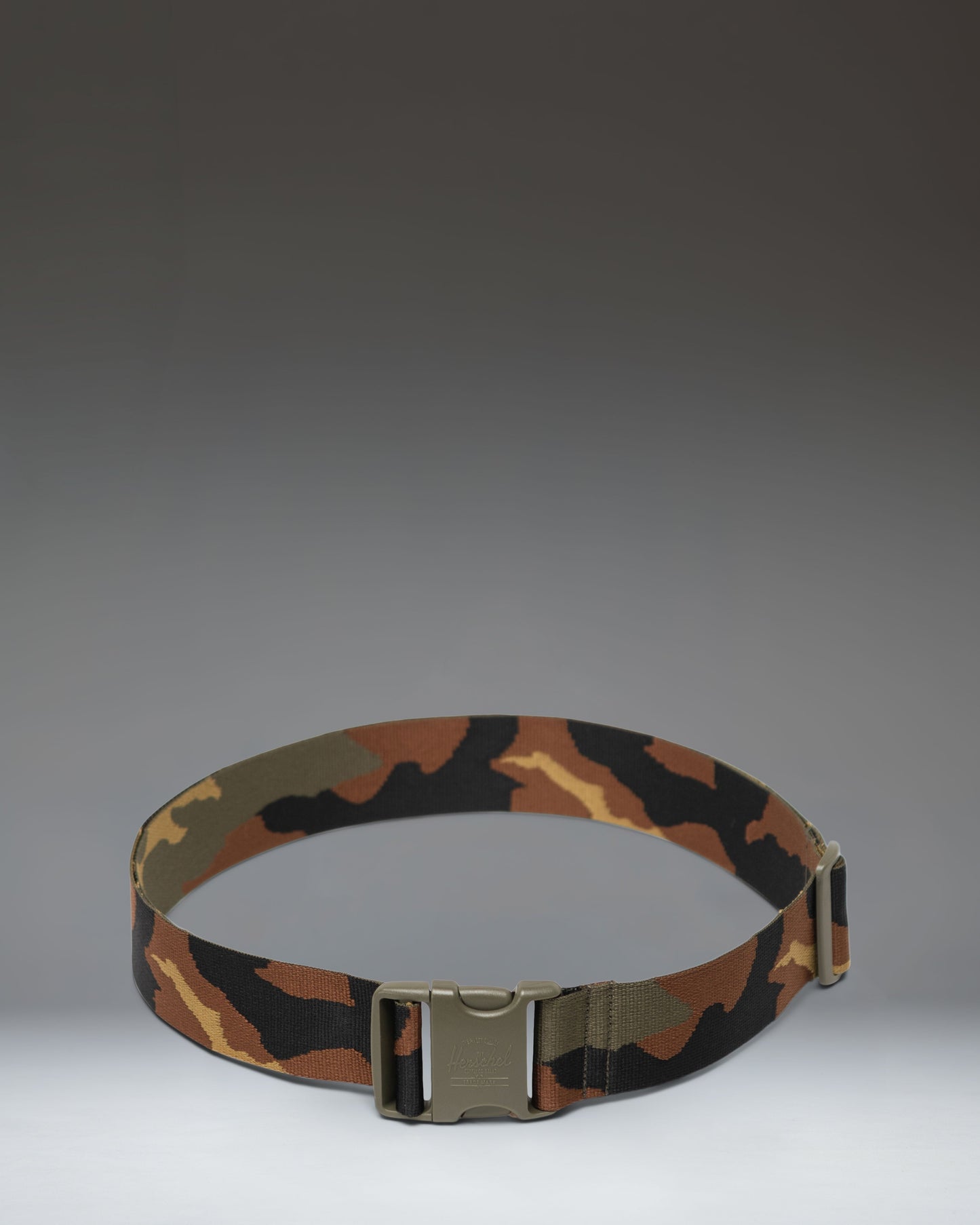 Luggage Belt
